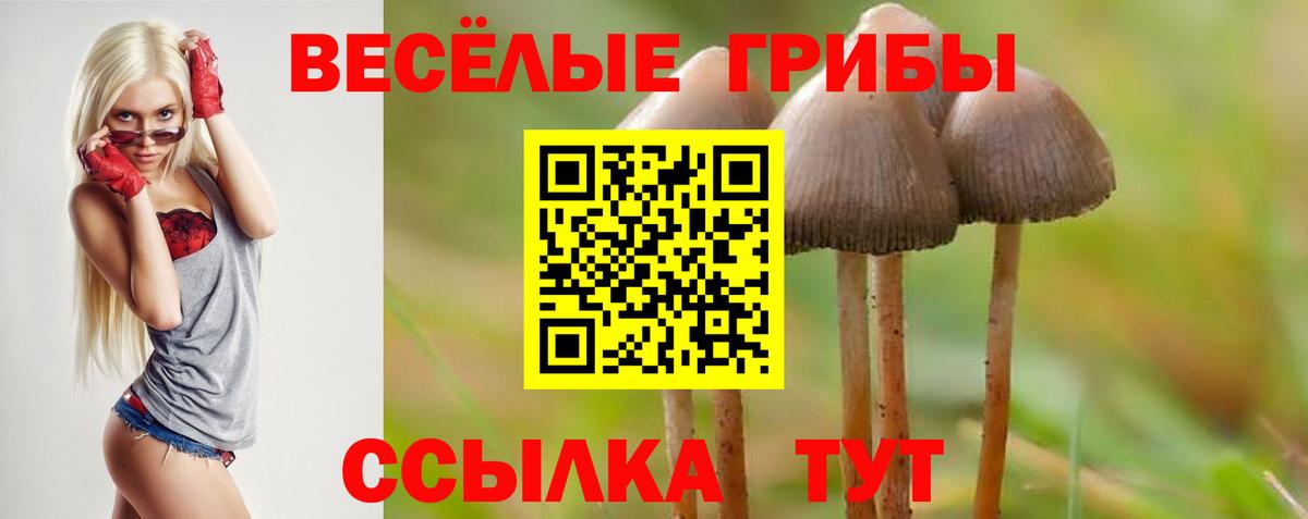 Новокубанск  Псилоцибиновые грибы MAGIC MUSHROOMS  цены   Вход с VPN 